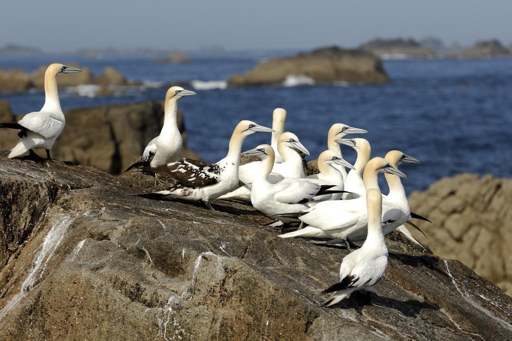 Logis Hotel Ker Mor Perros-Guirec Luaran gambar